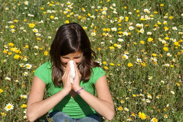 How Can My Family Remedy Allergy Symptoms Without Avoiding the Outdoors?