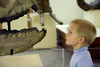 children's museums