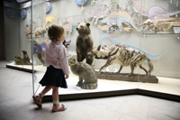 children's museums