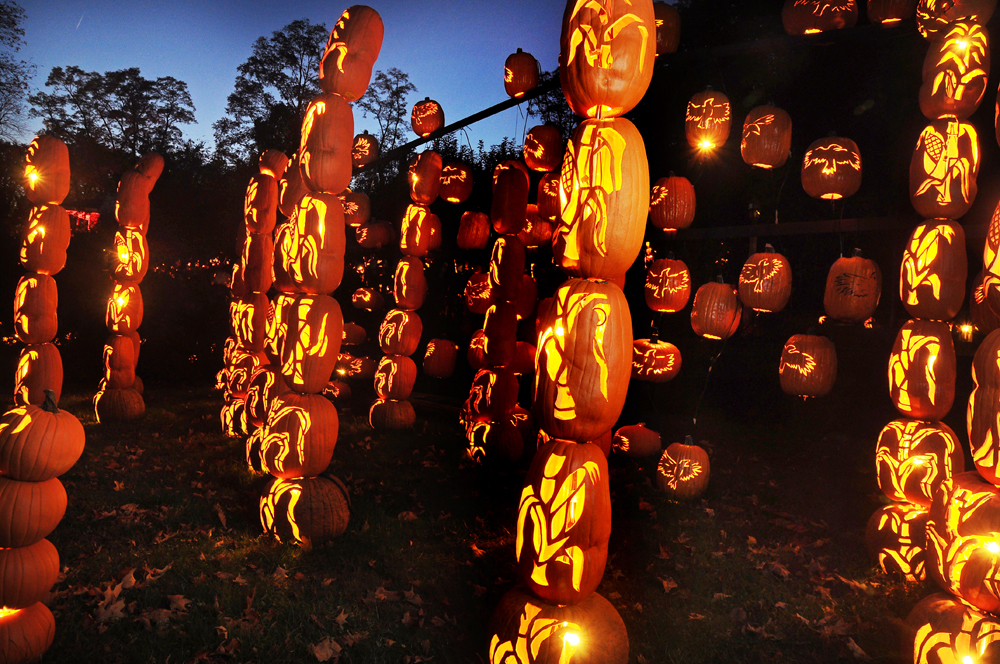 The Great Jack O Lantern Blaze in Westchester