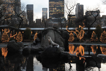 Winterfest at the Central Park Zoo