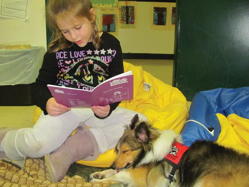 Hudson Valley Visiting Pets reading animals