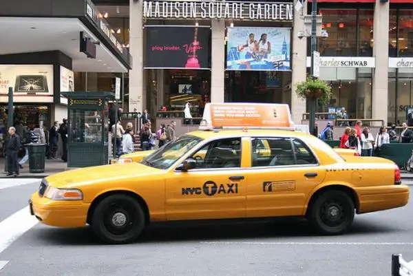  Are Dogs Allowed In Nyc Taxis 