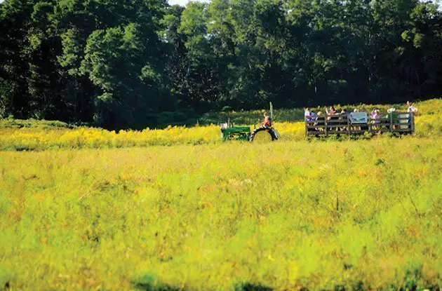 Family Outing: Hallockville Museum Farm