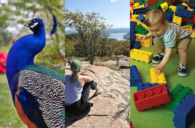 Can't-Miss Family Activities in Westchester, Rockland, and Fairfield Counties