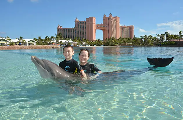 Atlantis Bahamas A Marine Life Paradise