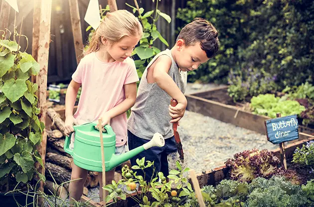 Brooklyn Schools Named Finalists in Recycled Garden Giveaway