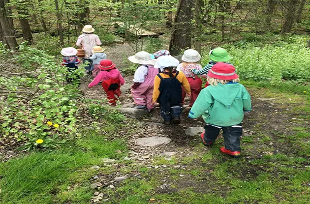 Green Meadow Waldorf School Announces Forest Preschool for 2018 School Year