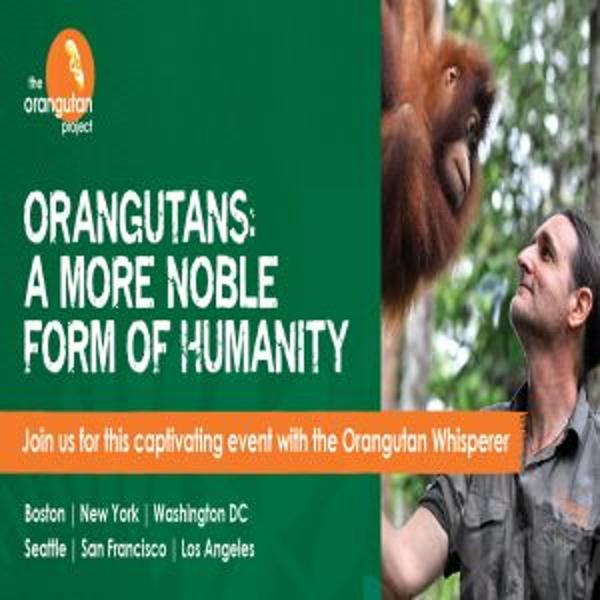 Orangutans: A More Noble Form of Humanity at General Assembly New York