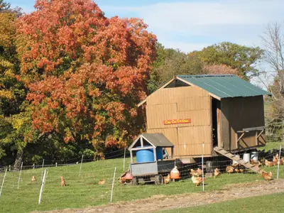 Family Outings November Events At Stone Barns Center For Food And