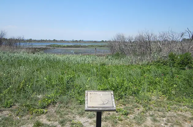 Jamaica Bay Wildlife Refuge West Pond view