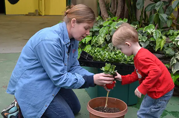 children's gardening program brookhaven