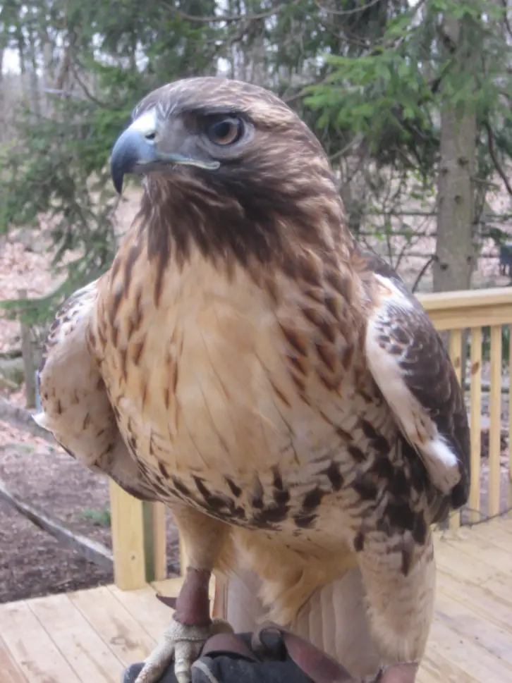 Tenafly Nature Center