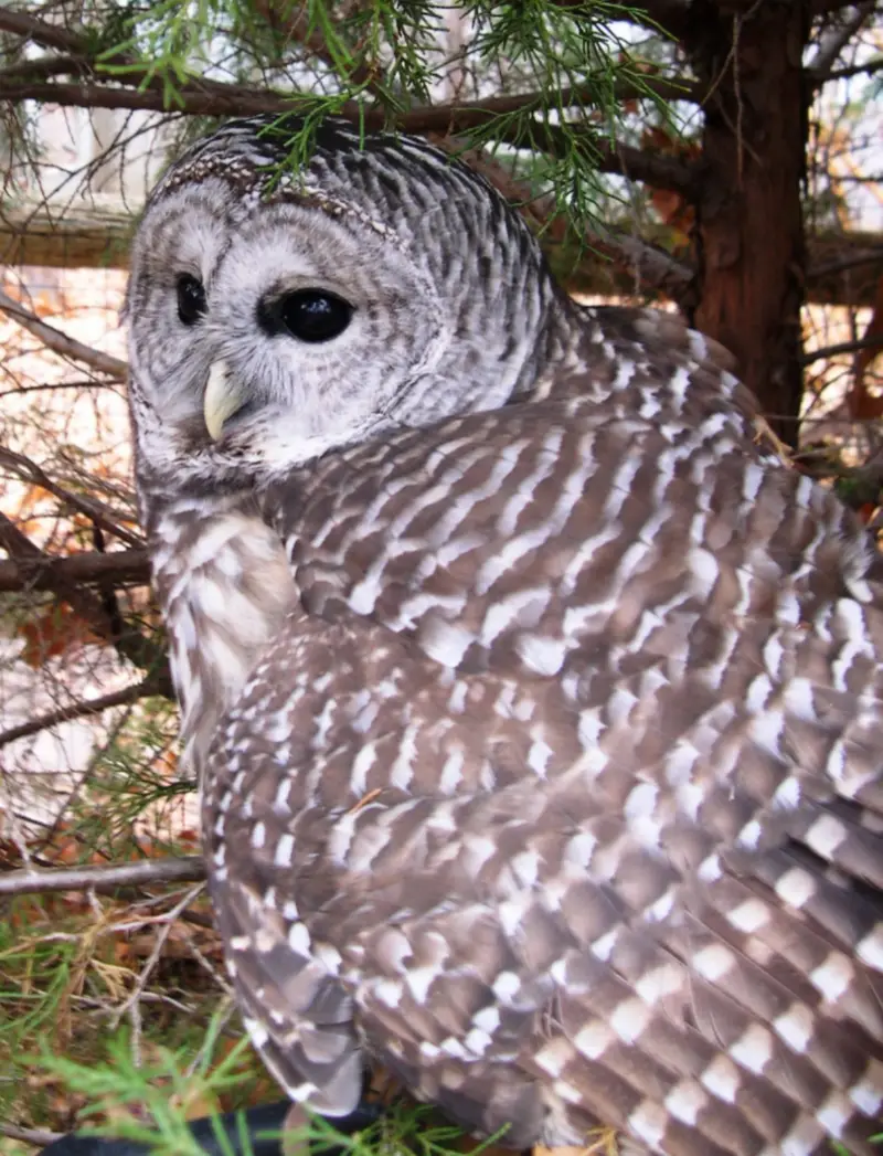 Tenafly Nature Center