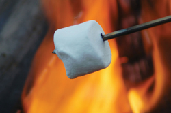roasting marshmallow by a campfire