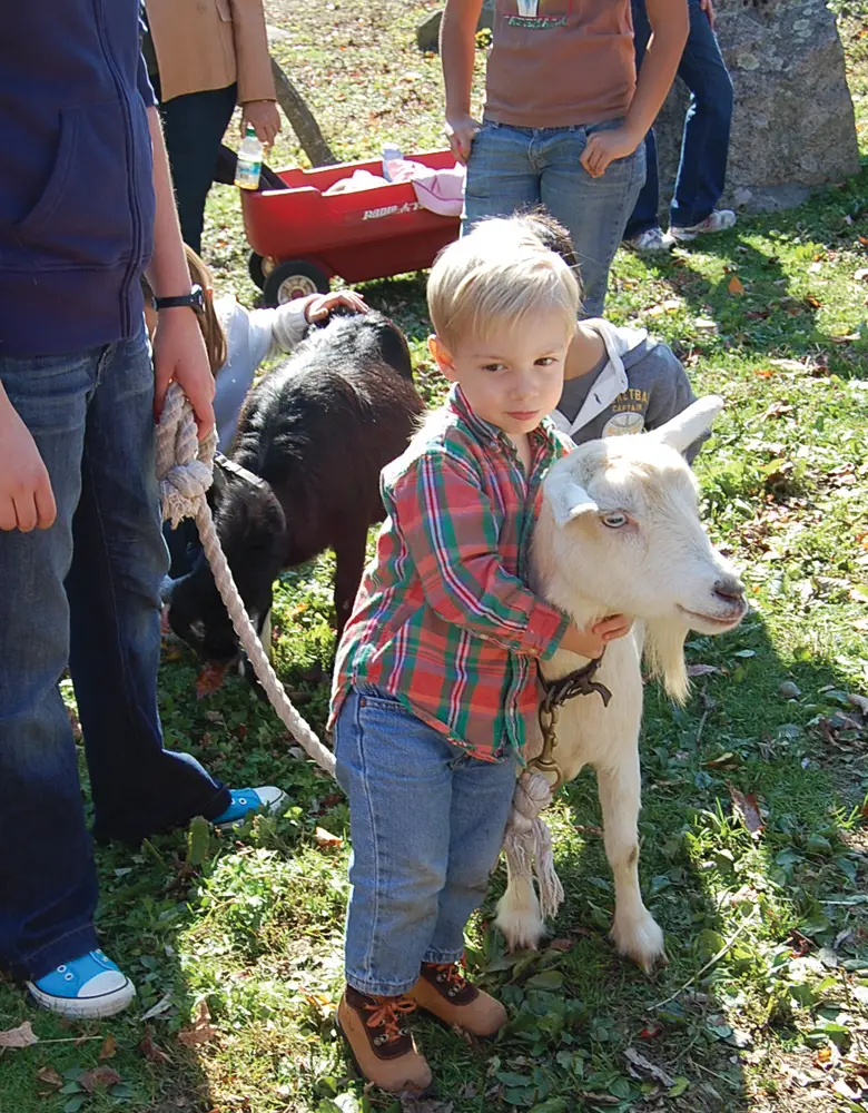 Harvest Festival in Stamford CT