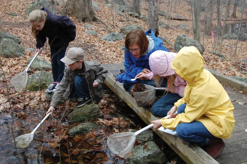 kids nature hike at stamford museum and nature center