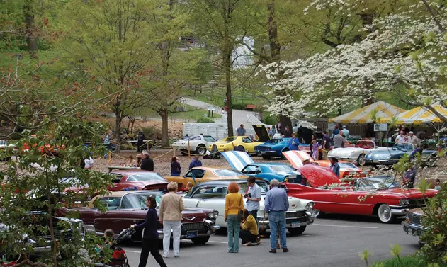 Stamford CT car show