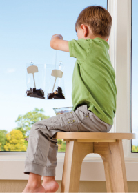 Boy Planting Seeds