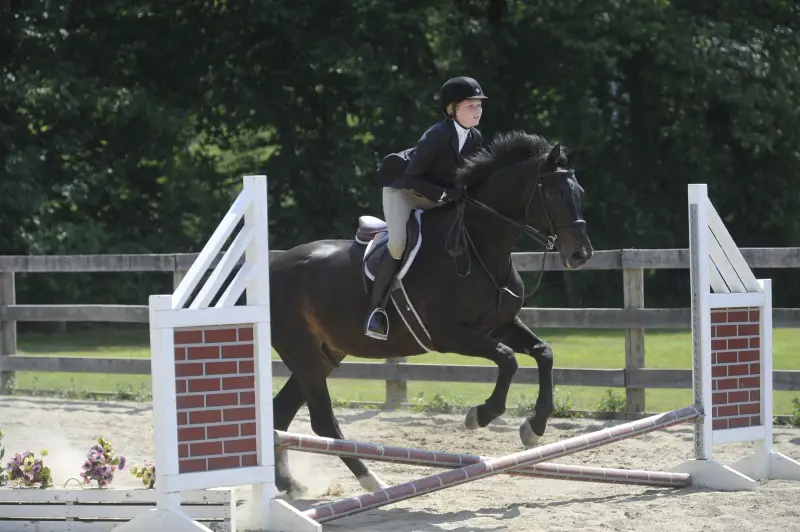 girl on horse jumping a fence