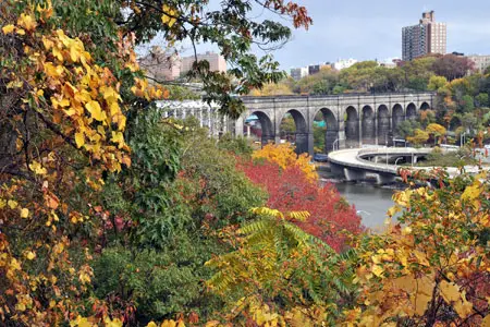 Highbridge Park and Water Tower