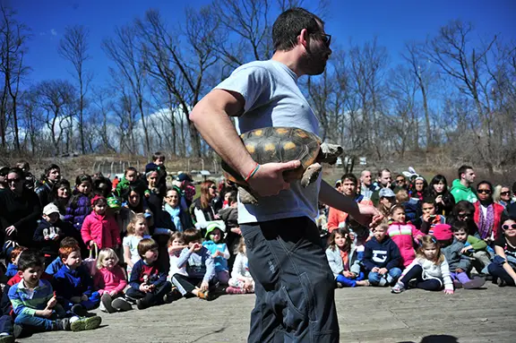 greenburgh nature center naturlist with turtle